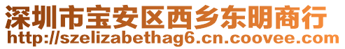 深圳市寶安區(qū)西鄉(xiāng)東明商行