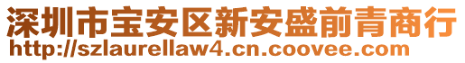 深圳市寶安區(qū)新安盛前青商行