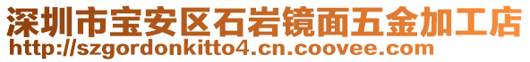 深圳市寶安區(qū)石巖鏡面五金加工店