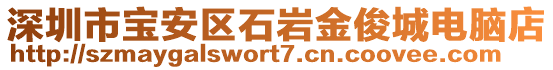 深圳市寶安區(qū)石巖金俊城電腦店