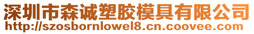 深圳市森誠塑膠模具有限公司