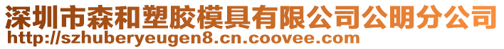 深圳市森和塑膠模具有限公司公明分公司