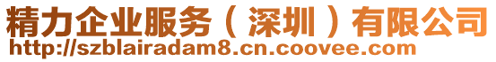 精力企業(yè)服務(wù)（深圳）有限公司