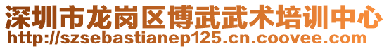 深圳市龙岗区博武武术培训中心