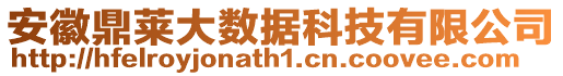 安徽鼎萊大數(shù)據(jù)科技有限公司