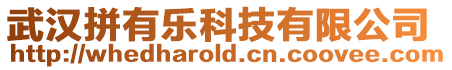 武漢拼有樂科技有限公司