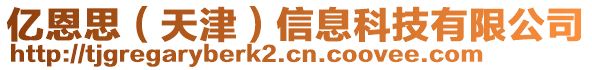 亿恩思（天津）信息科技有限公司