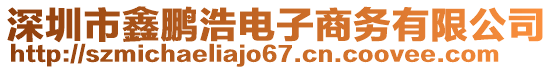 深圳市鑫鵬浩電子商務(wù)有限公司