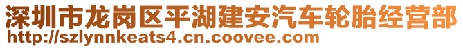 深圳市龍崗區(qū)平湖建安汽車輪胎經(jīng)營部