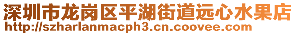 深圳市龍崗區(qū)平湖街道遠心水果店