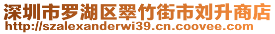 深圳市羅湖區(qū)翠竹街市劉升商店