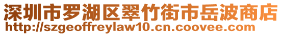 深圳市罗湖区翠竹街市岳波商店