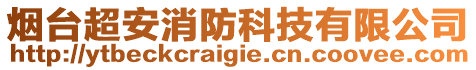 煙臺超安消防科技有限公司