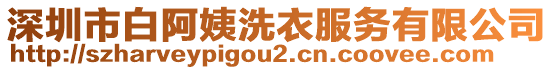 深圳市白阿姨洗衣服務(wù)有限公司