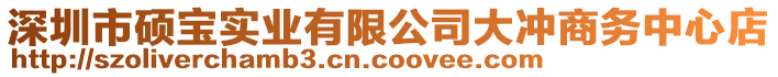 深圳市碩寶實業(yè)有限公司大沖商務(wù)中心店