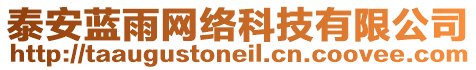 泰安藍(lán)雨網(wǎng)絡(luò)科技有限公司