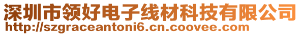 深圳市領(lǐng)好電子線材科技有限公司