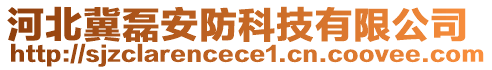 河北冀磊安防科技有限公司