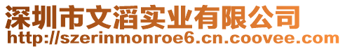 深圳市文滔實(shí)業(yè)有限公司