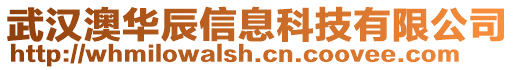 武汉澳华辰信息科技有限公司