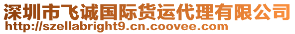 深圳市飛誠(chéng)國(guó)際貨運(yùn)代理有限公司