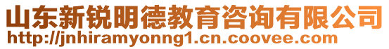 山東新銳明德教育咨詢有限公司