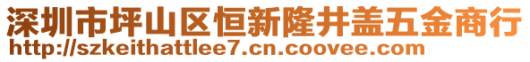 深圳市坪山區(qū)恒新隆井蓋五金商行