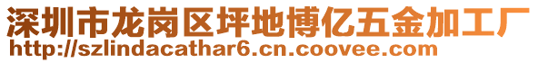 深圳市龍崗區(qū)坪地博億五金加工廠