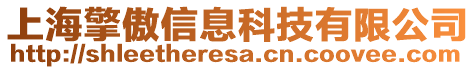 上海擎傲信息科技有限公司