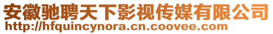 安徽驰聘天下影视传媒有限公司