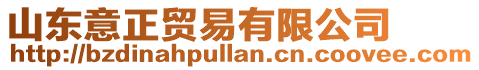 山東意正貿(mào)易有限公司
