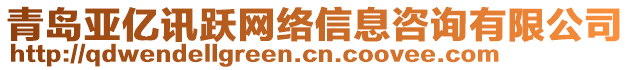 青岛亚亿讯跃网络信息咨询有限公司