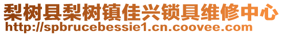 梨樹縣梨樹鎮(zhèn)佳興鎖具維修中心