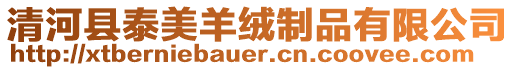 清河縣泰美羊絨制品有限公司