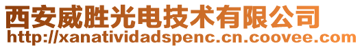 西安威胜光电技术有限公司