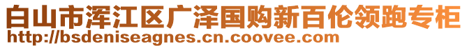 白山市渾江區(qū)廣澤國購新百倫領(lǐng)跑專柜