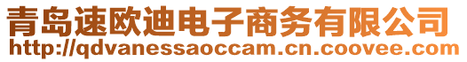 青島速歐迪電子商務有限公司