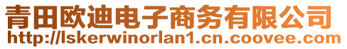 青田歐迪電子商務(wù)有限公司