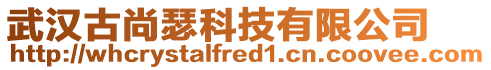 武汉古尚瑟科技有限公司