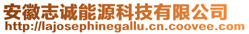 安徽志誠(chéng)能源科技有限公司