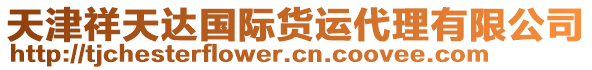 天津祥天達國際貨運代理有限公司