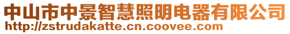 中山市中景智慧照明電器有限公司