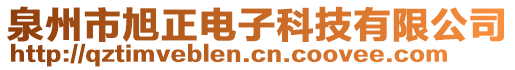 泉州市旭正電子科技有限公司