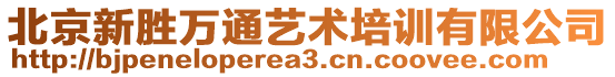 北京新勝萬通藝術(shù)培訓(xùn)有限公司