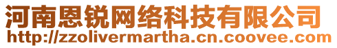 河南恩銳網(wǎng)絡(luò)科技有限公司