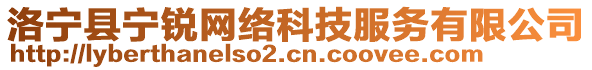 洛寧縣寧銳網(wǎng)絡(luò)科技服務(wù)有限公司