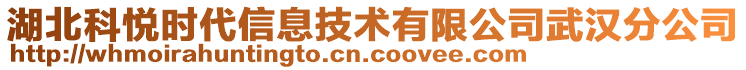 湖北科悦时代信息技术有限公司武汉分公司