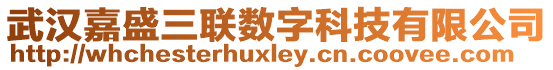 武汉嘉盛三联数字科技有限公司