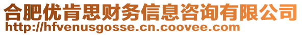 合肥優(yōu)肯思財(cái)務(wù)信息咨詢有限公司