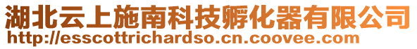 湖北云上施南科技孵化器有限公司